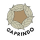 gaprindo1x